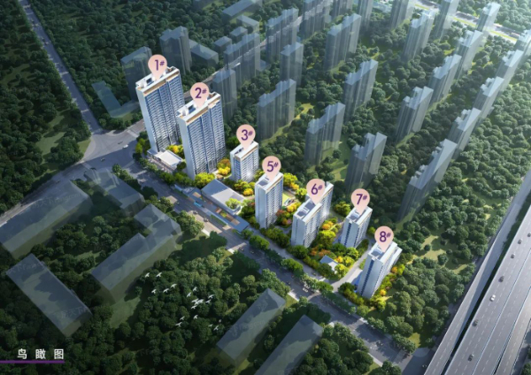 鸟瞰图